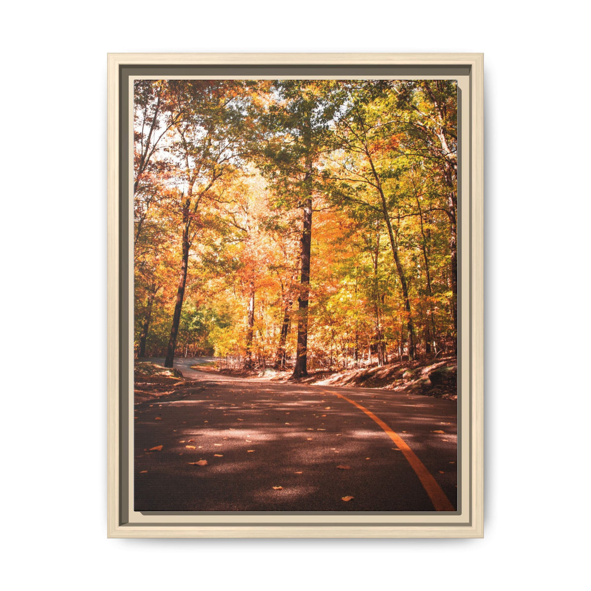 Autumn Road- Canvas Print