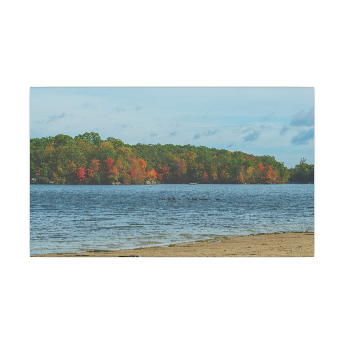 Fall on the Beach — Fall Landscape Matte Wall Art