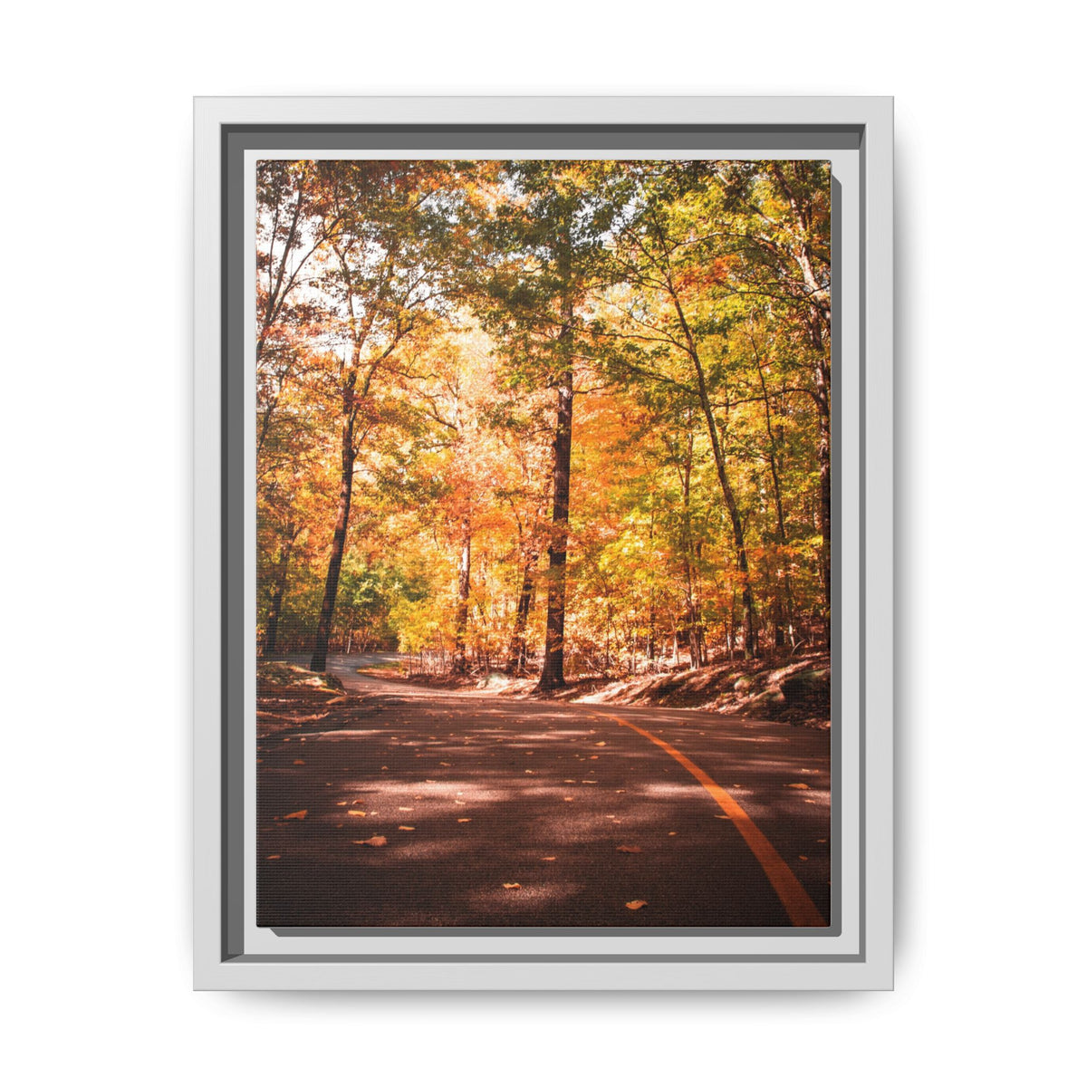 Autumn Road- Canvas Print