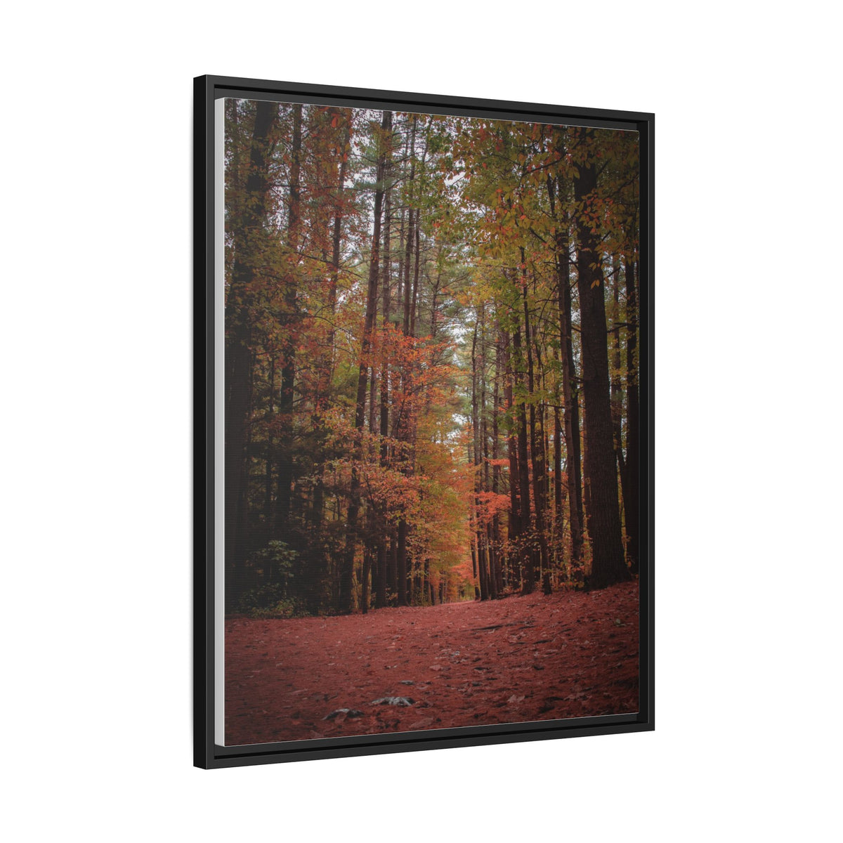 Autumn Forest Wall Art