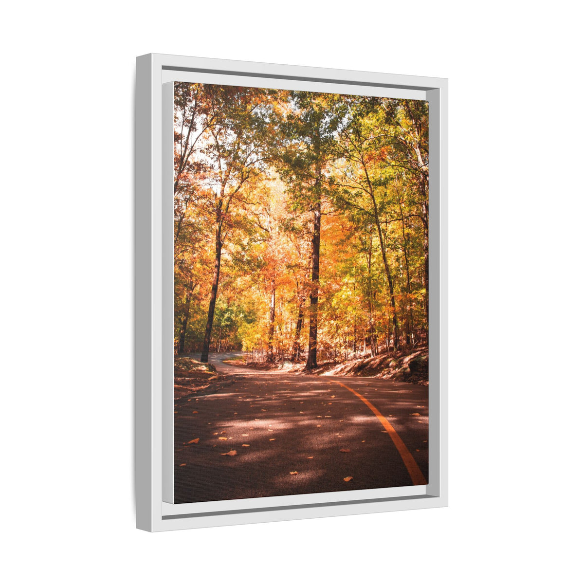 Autumn Road- Canvas Print