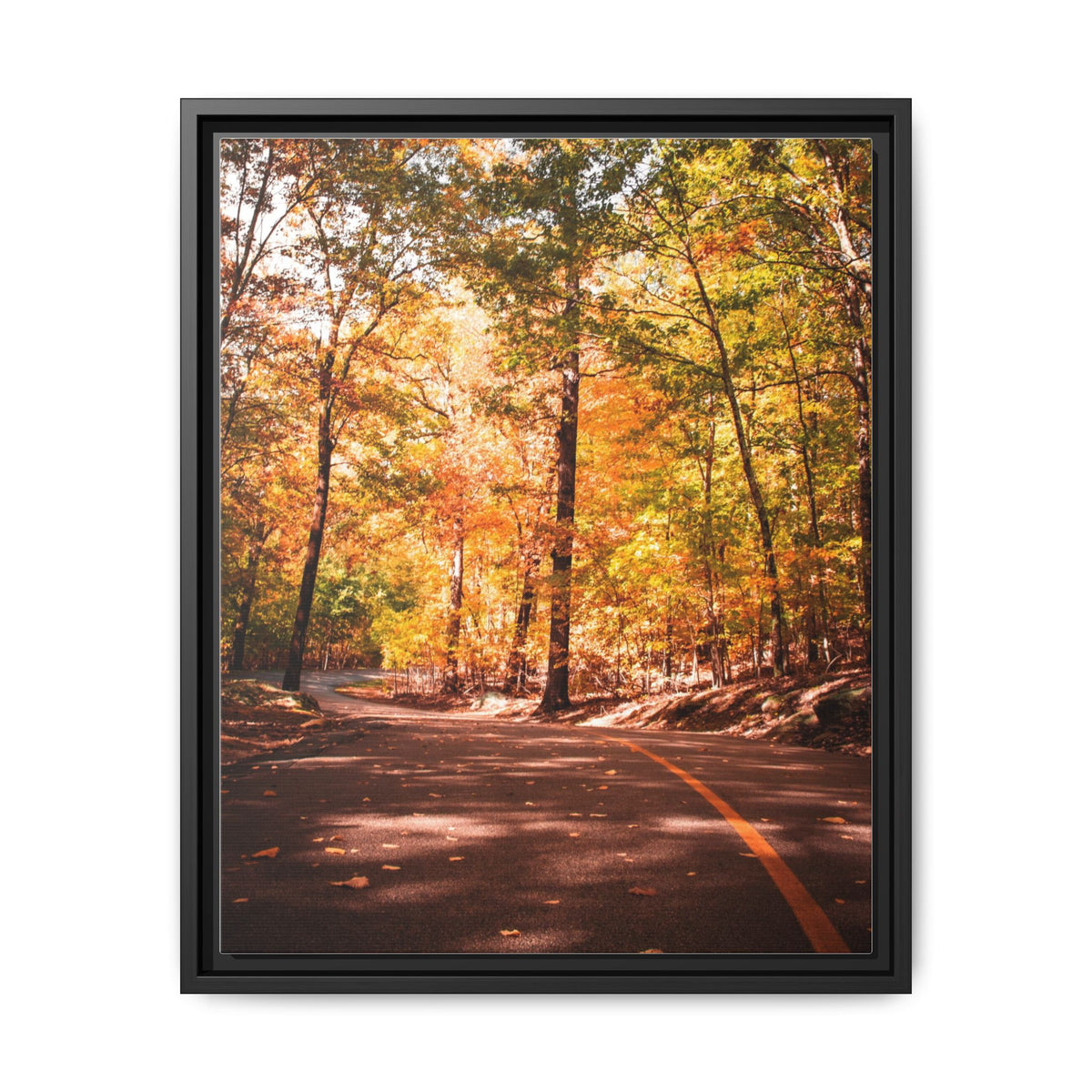 Autumn Road- Canvas Print