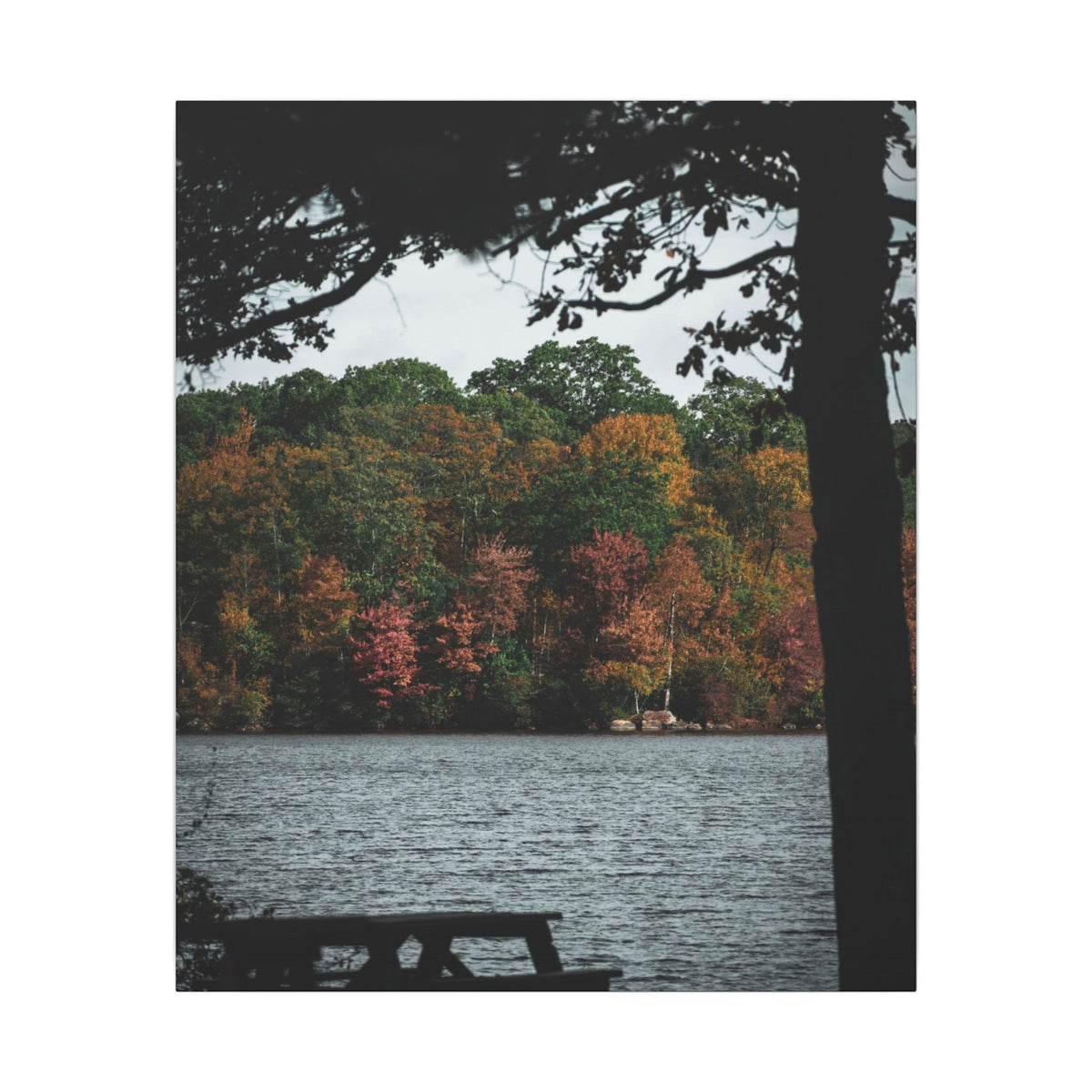 Take in Autumn- Matte Canvas Print
