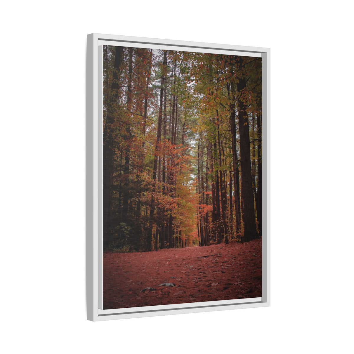 Autumn Forest Wall Art
