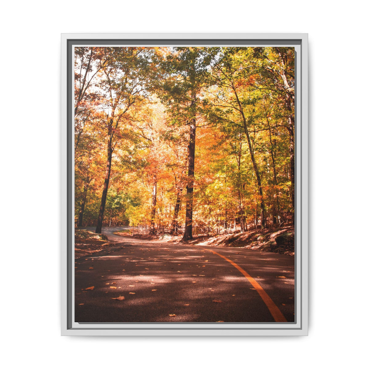 Autumn Road- Canvas Print