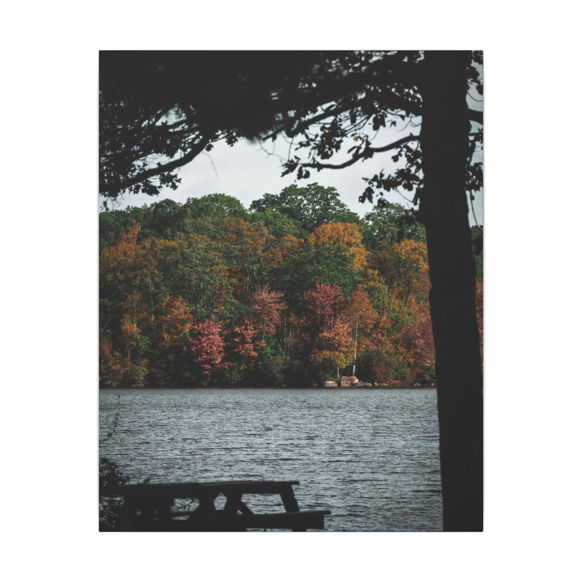 Take in Autumn- Matte Canvas Print