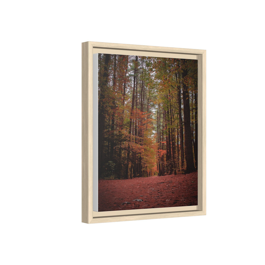 Autumn Forest Wall Art