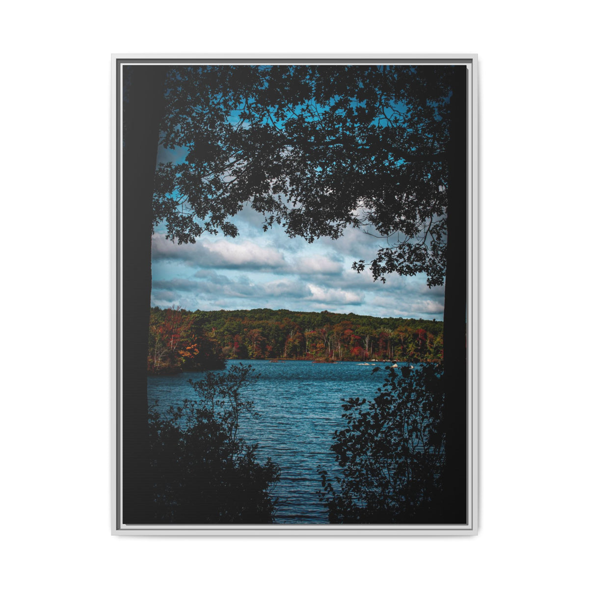 Tree Covered Peace - Canvas Print