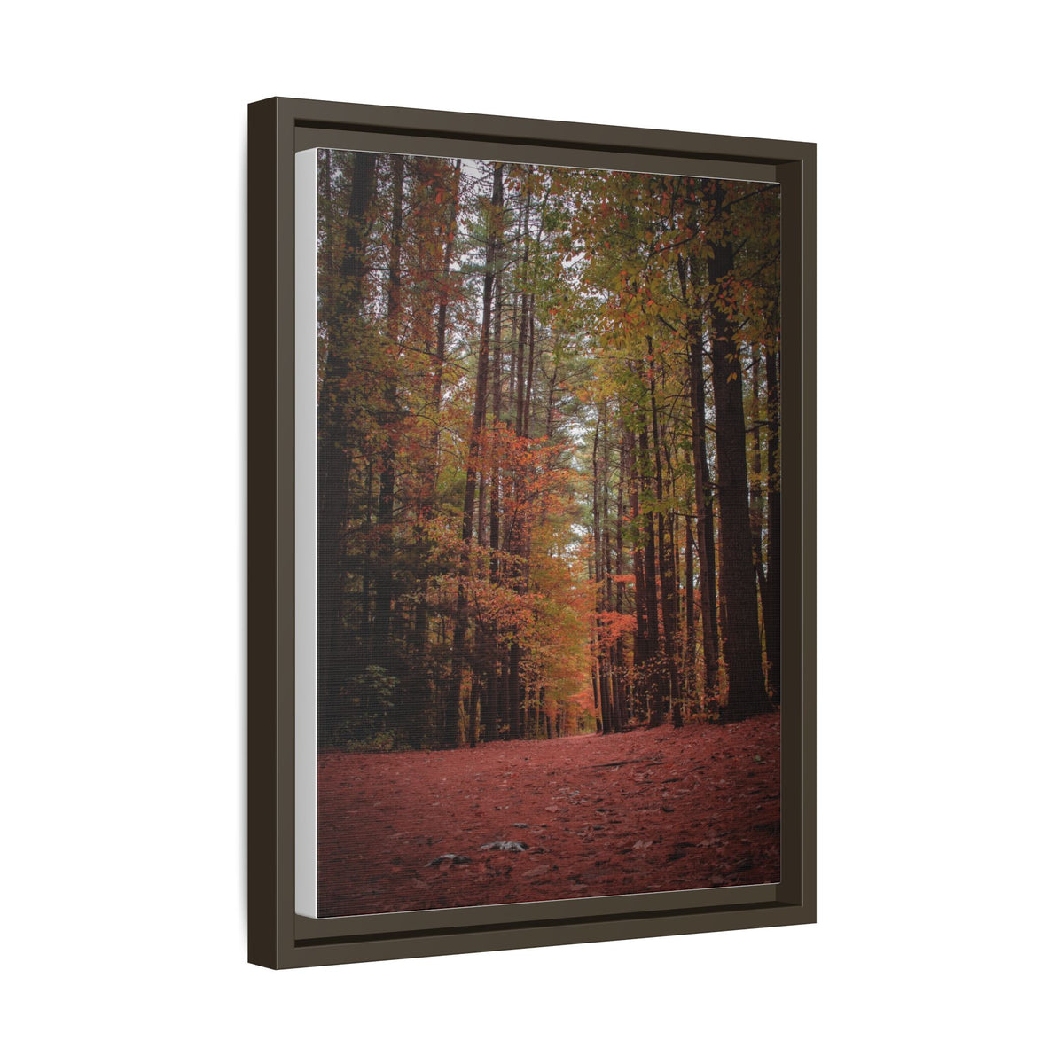 Autumn Forest Wall Art