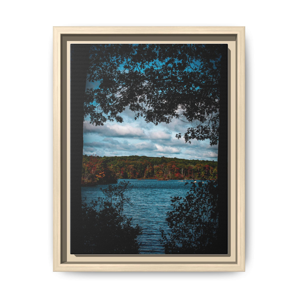 Tree Covered Peace - Canvas Print