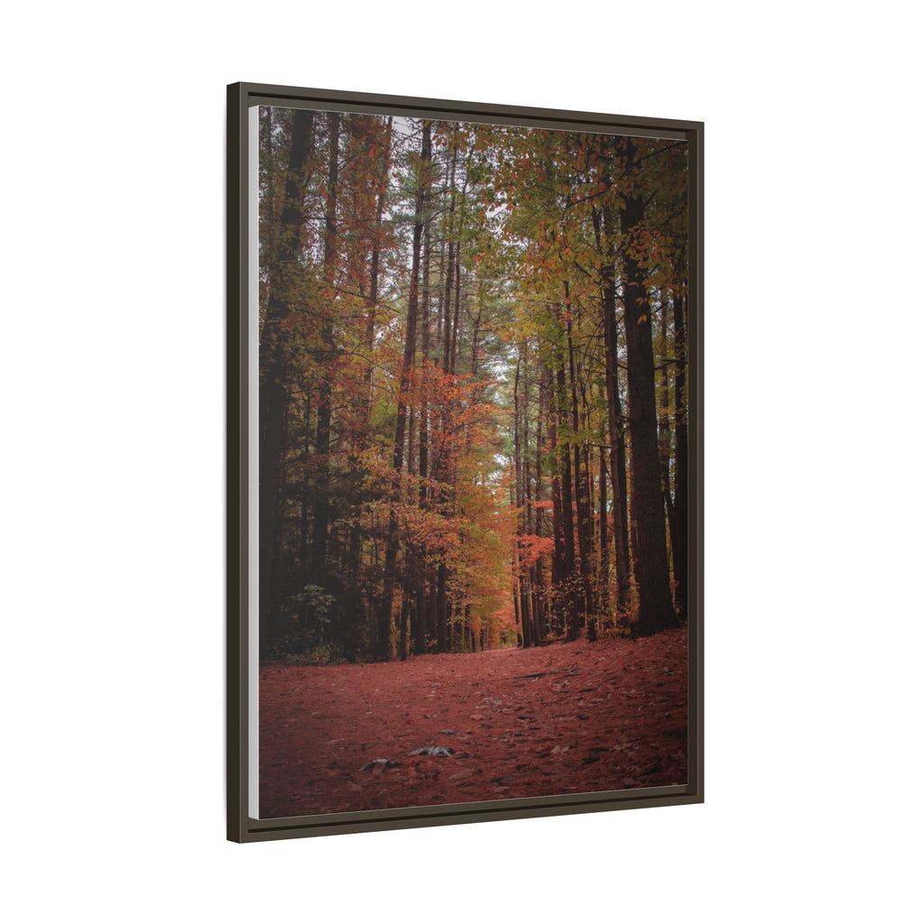 Autumn Forest Wall Art