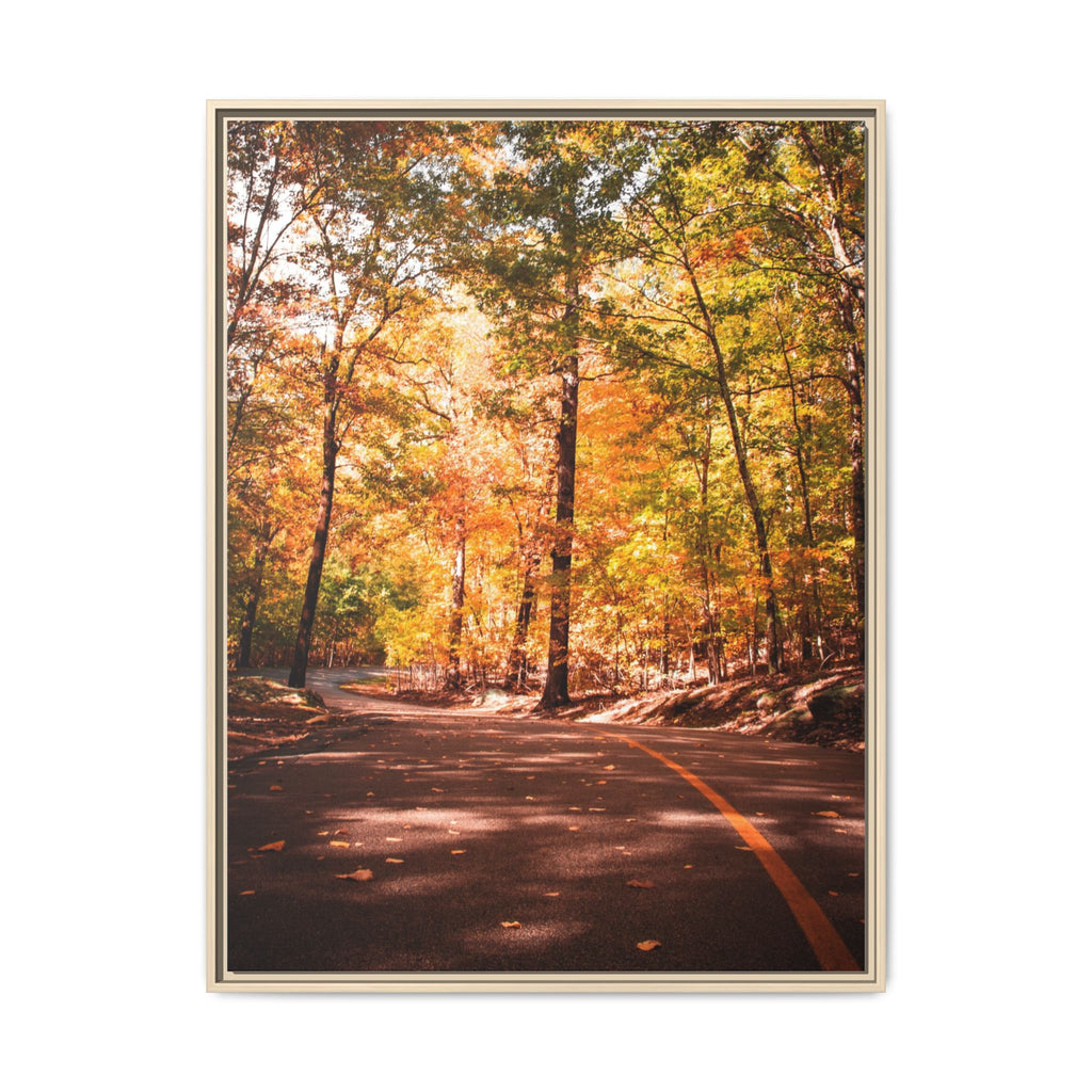 Autumn Road- Canvas Print