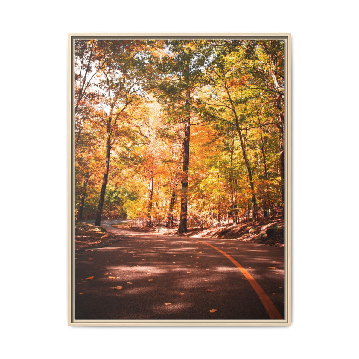 Autumn Road- Canvas Print