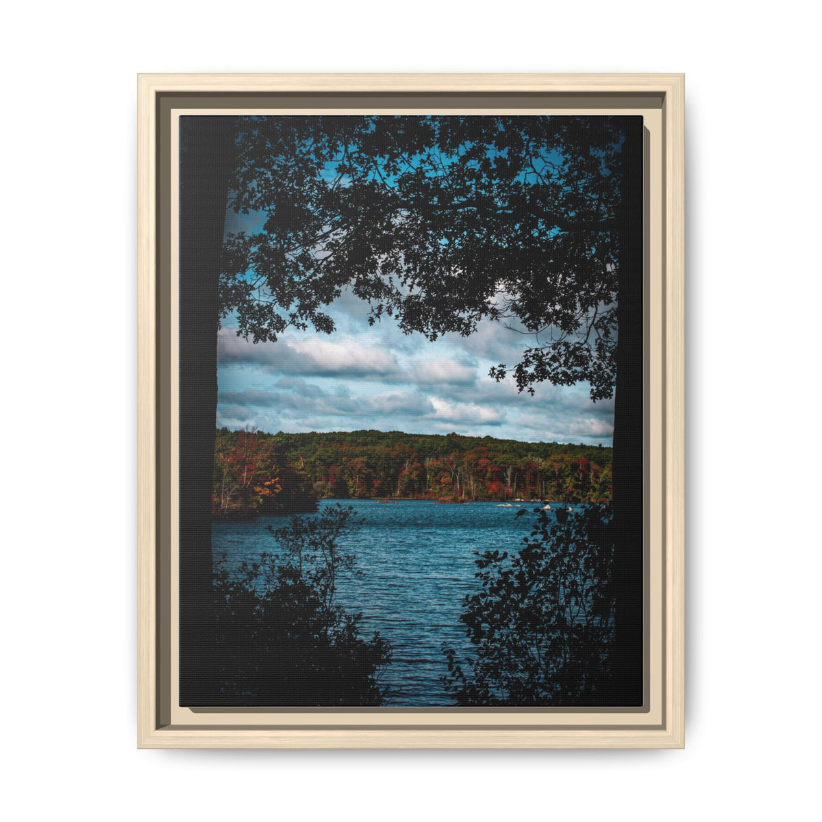 Tree Covered Peace - Canvas Print