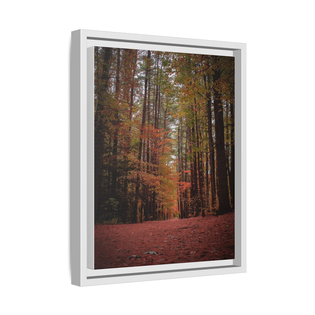 Autumn Forest Wall Art