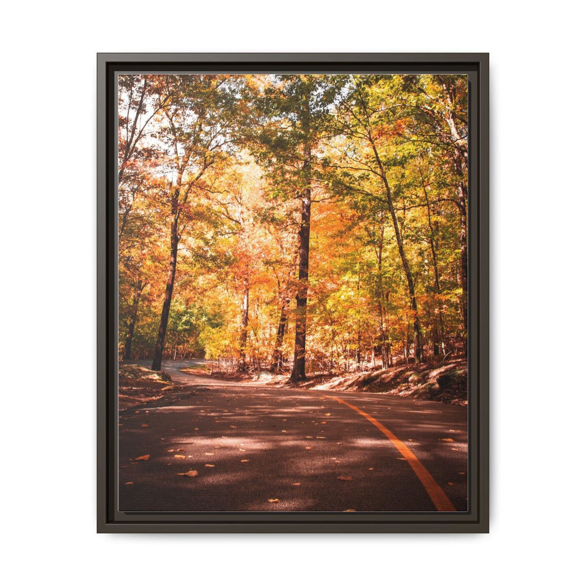 Autumn Road- Canvas Print