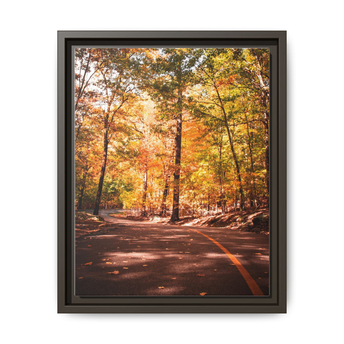 Autumn Road- Canvas Print