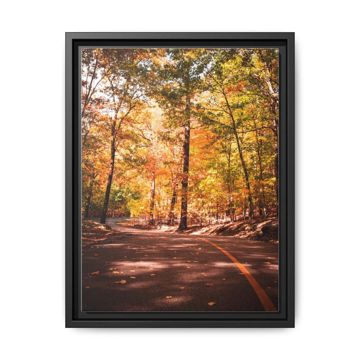 Autumn Road- Canvas Print