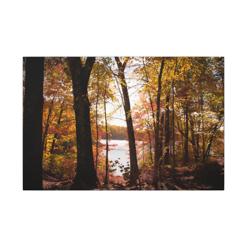 Autumn Lakeview Wall Art