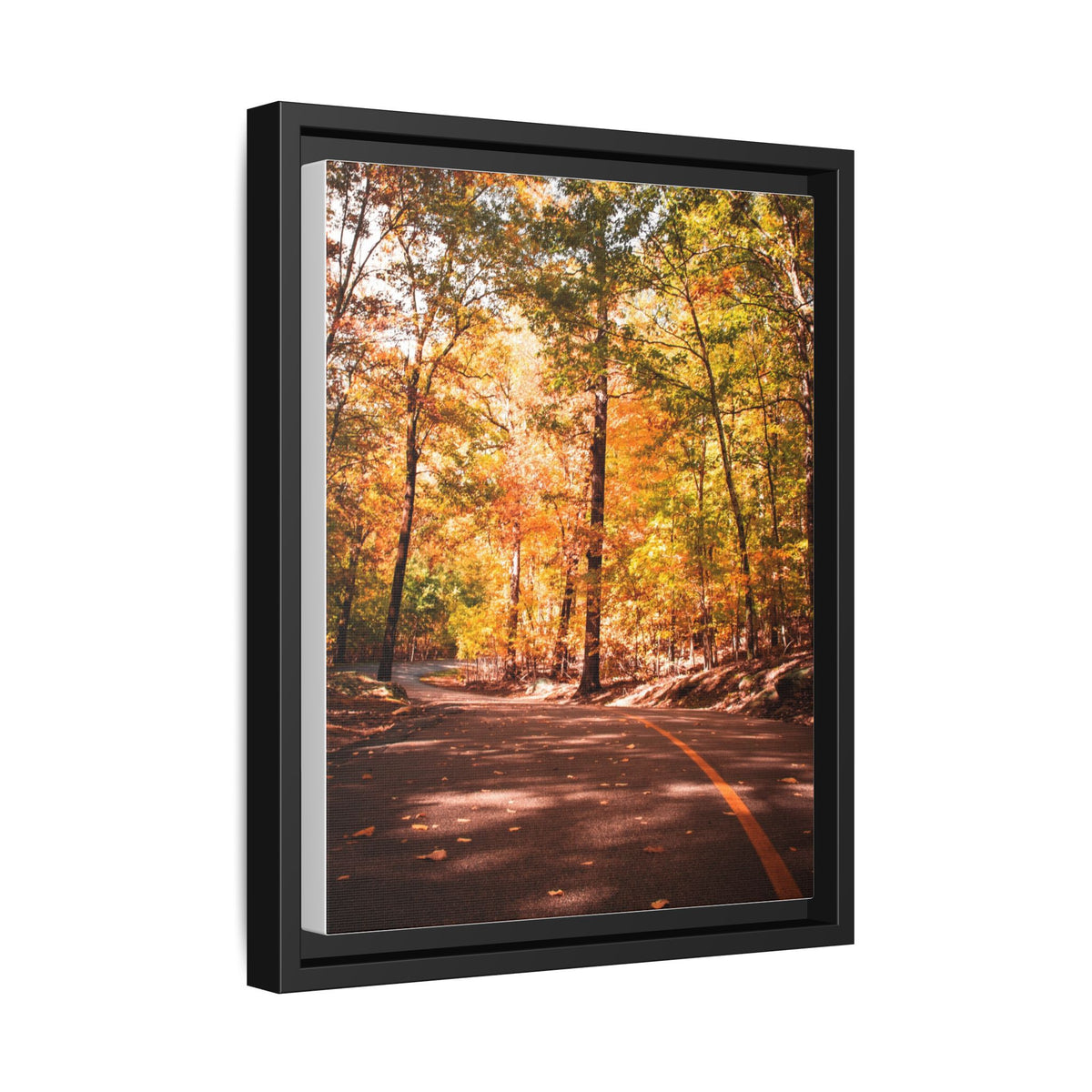 Autumn Road- Canvas Print