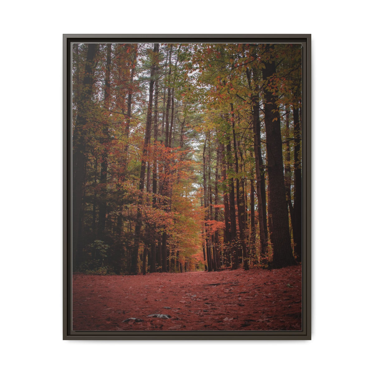 Autumn Forest Wall Art