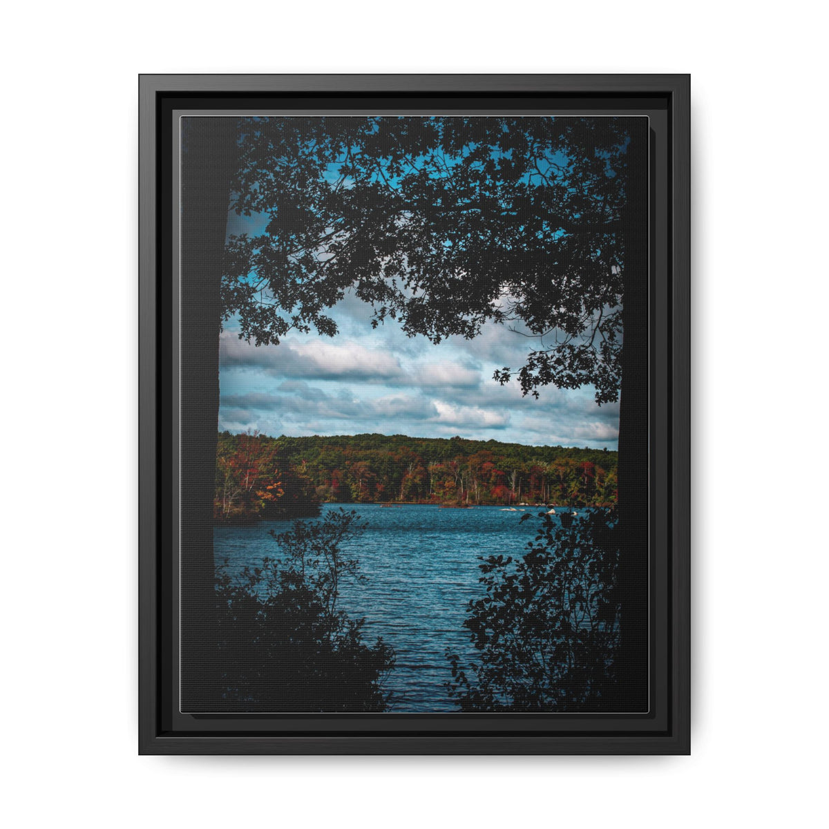 Tree Covered Peace - Canvas Print