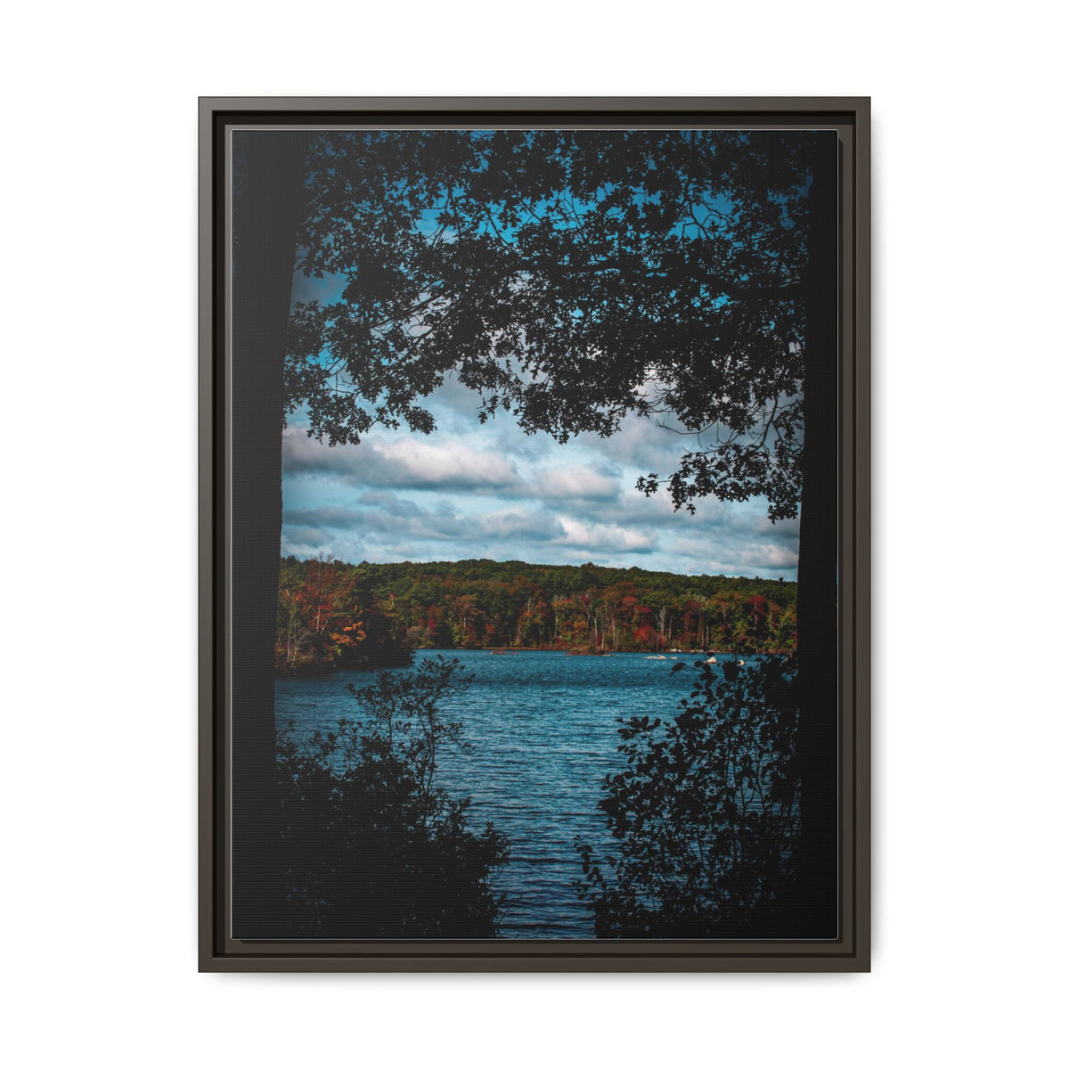 Tree Covered Peace - Canvas Print