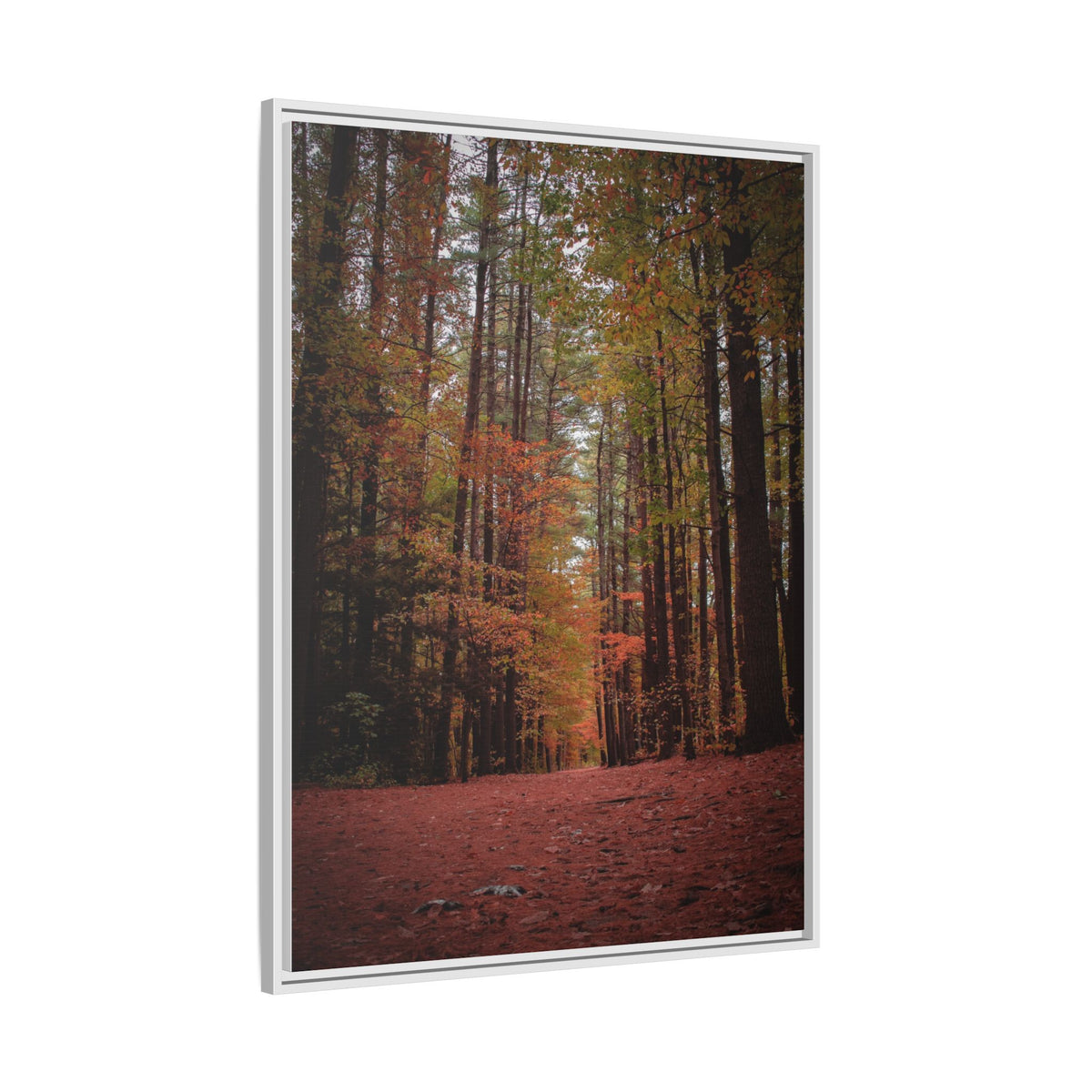 Autumn Forest Wall Art