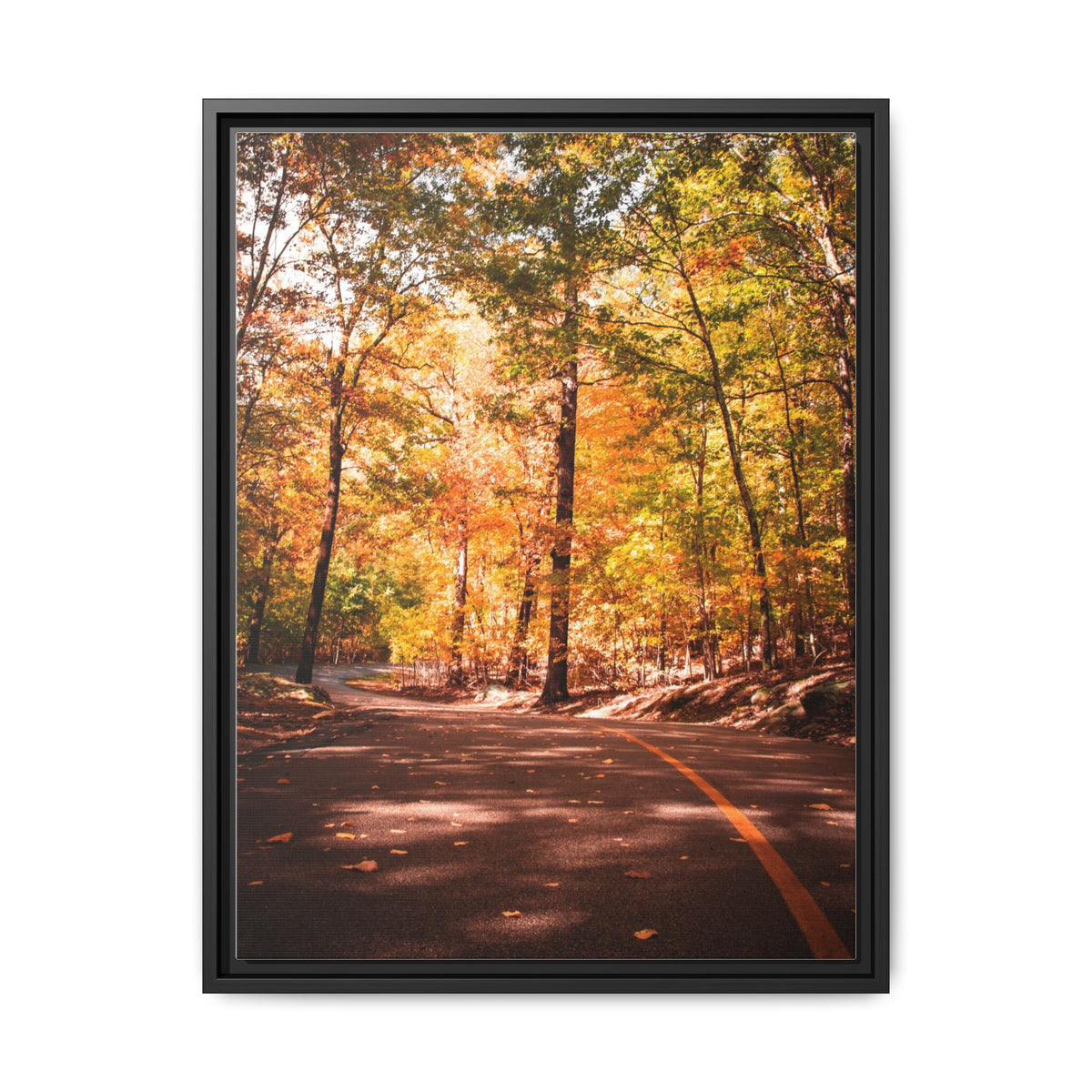 Autumn Road- Canvas Print