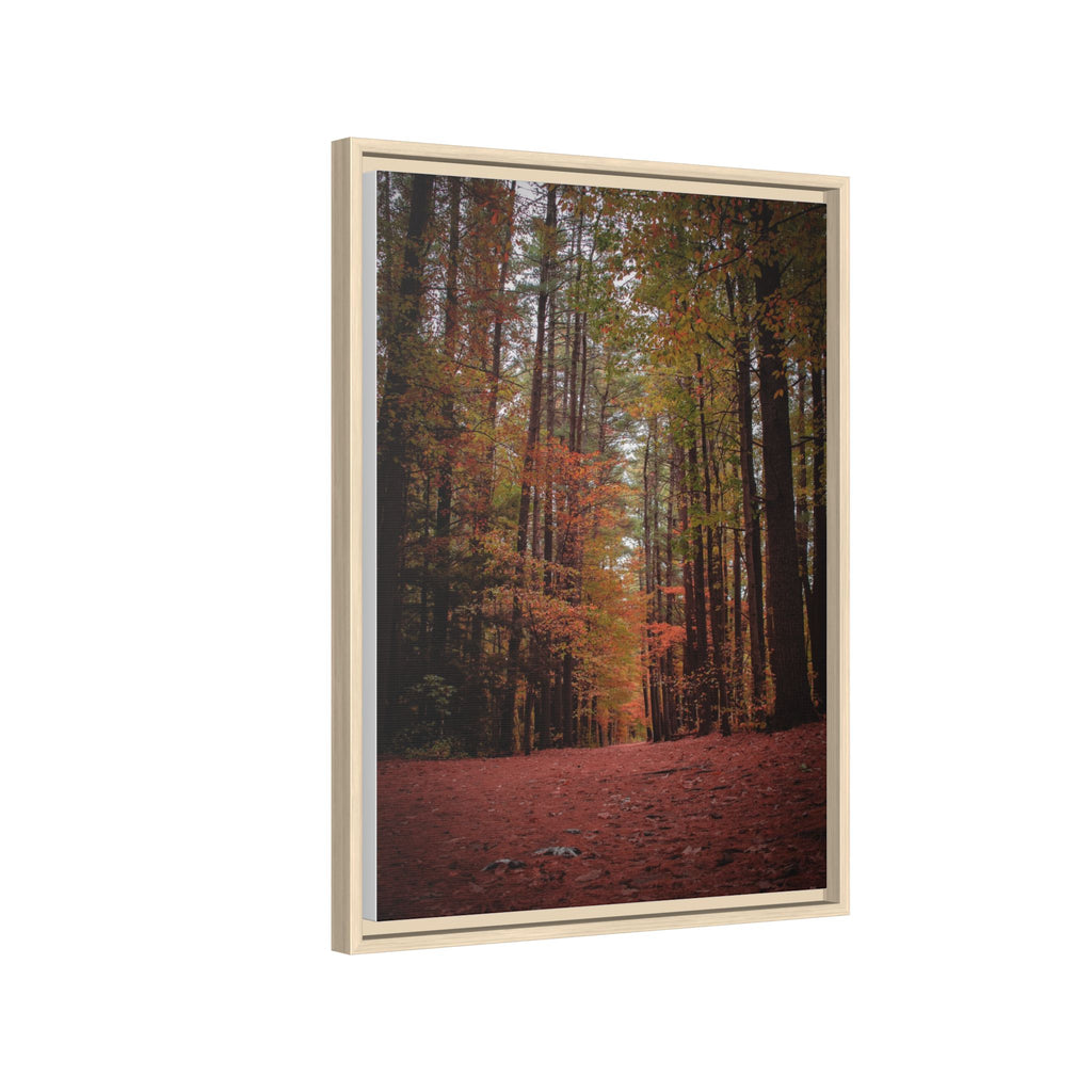 Autumn Forest Wall Art