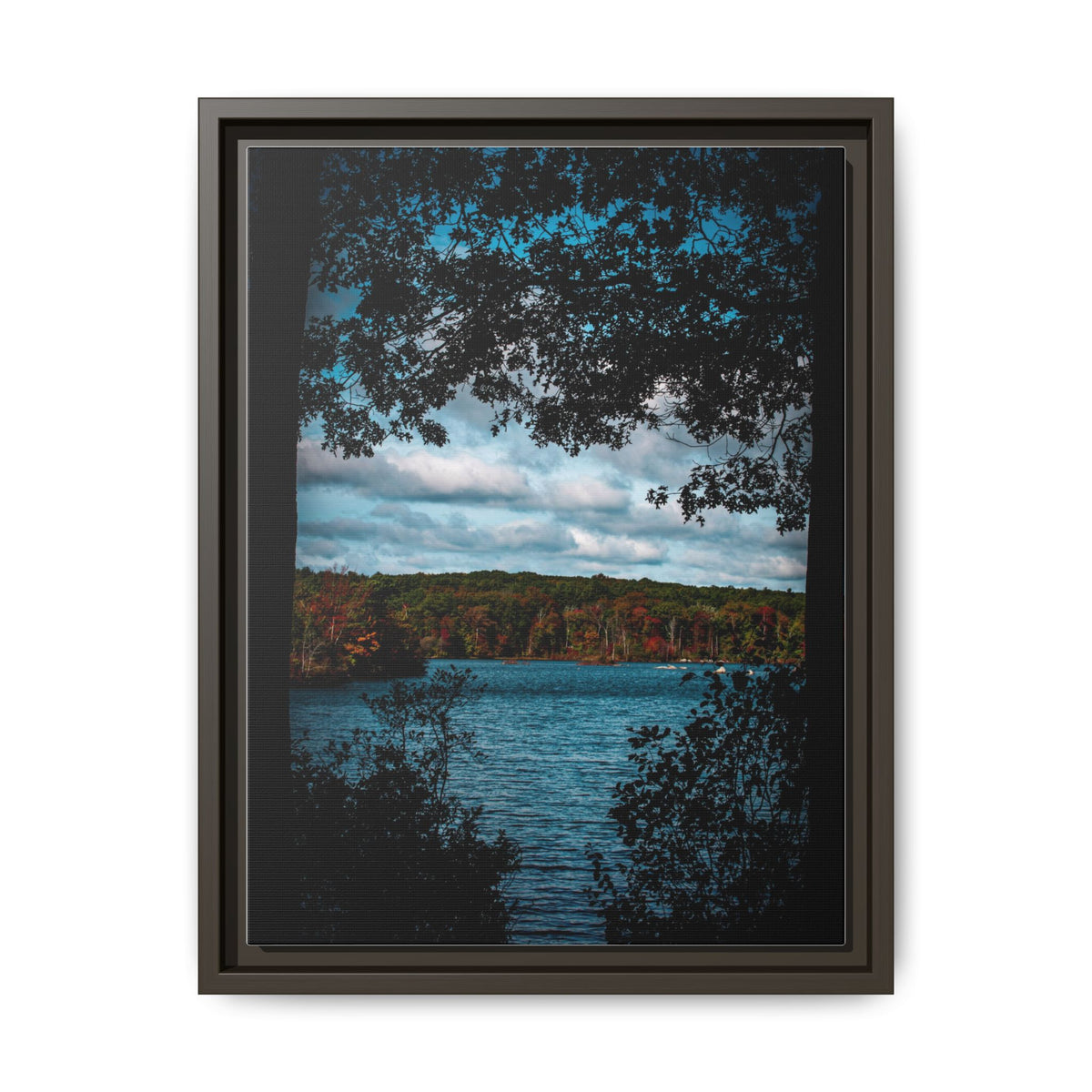 Tree Covered Peace - Canvas Print