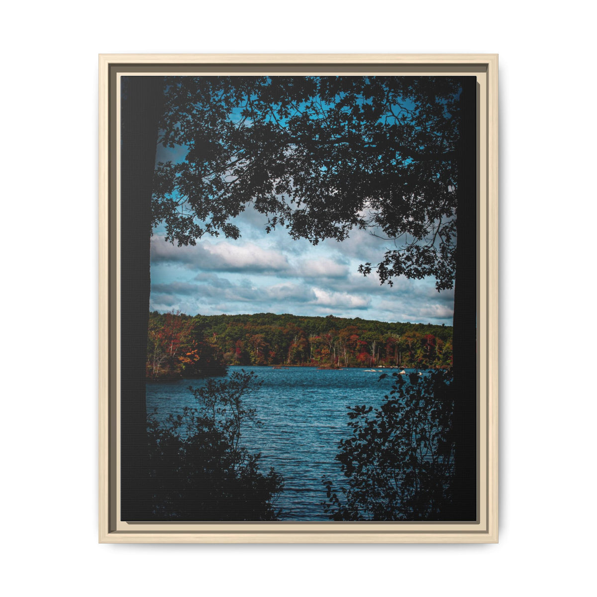 Tree Covered Peace - Canvas Print