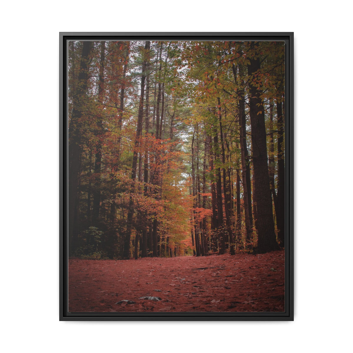 Autumn Forest Wall Art