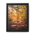 Autumn Road- Canvas Print