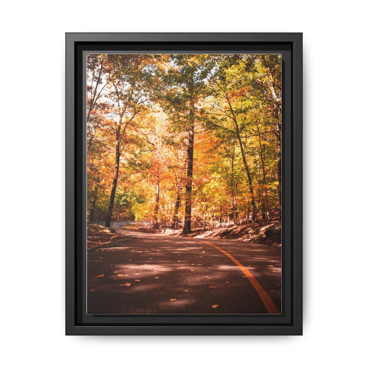 Autumn Road- Canvas Print