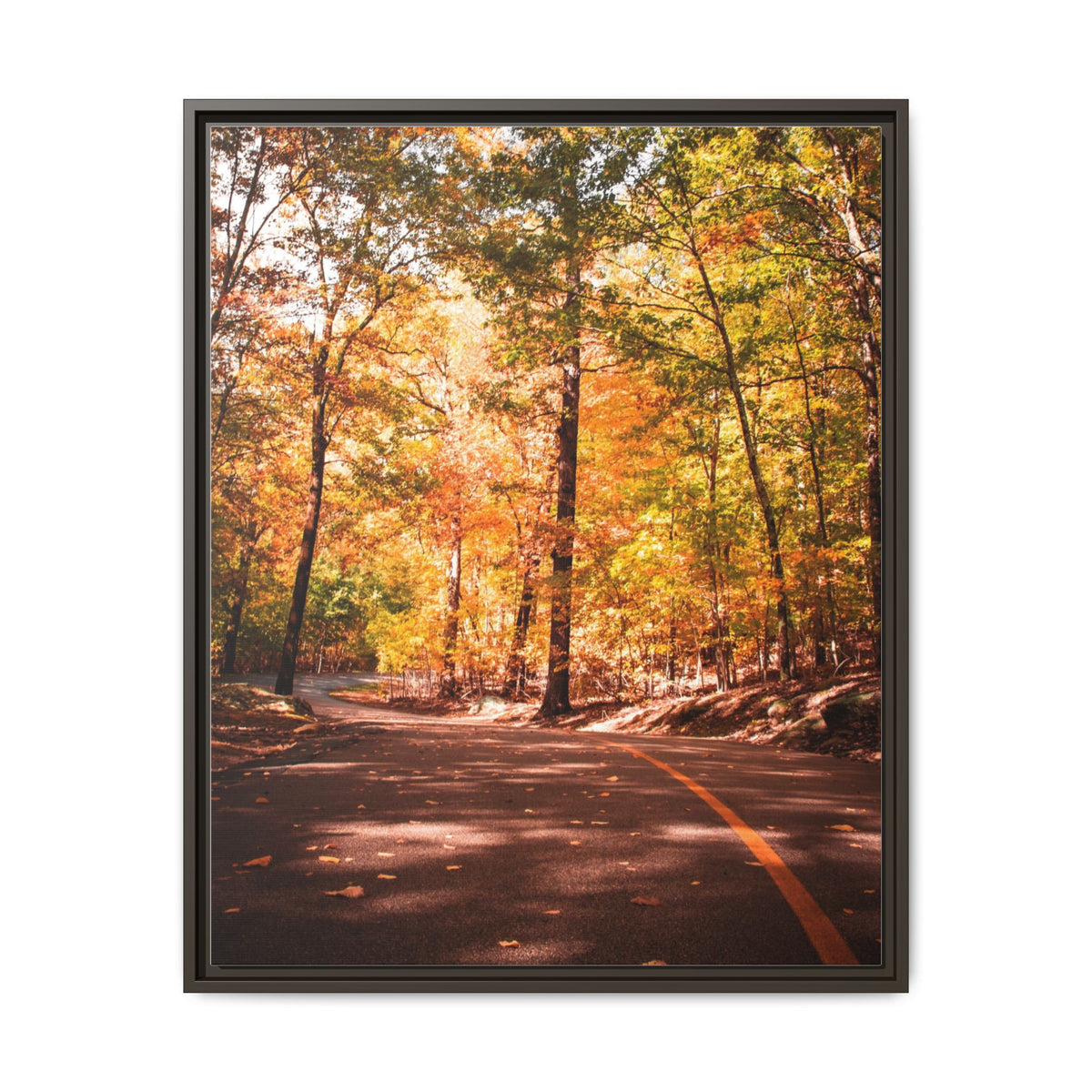 Autumn Road- Canvas Print