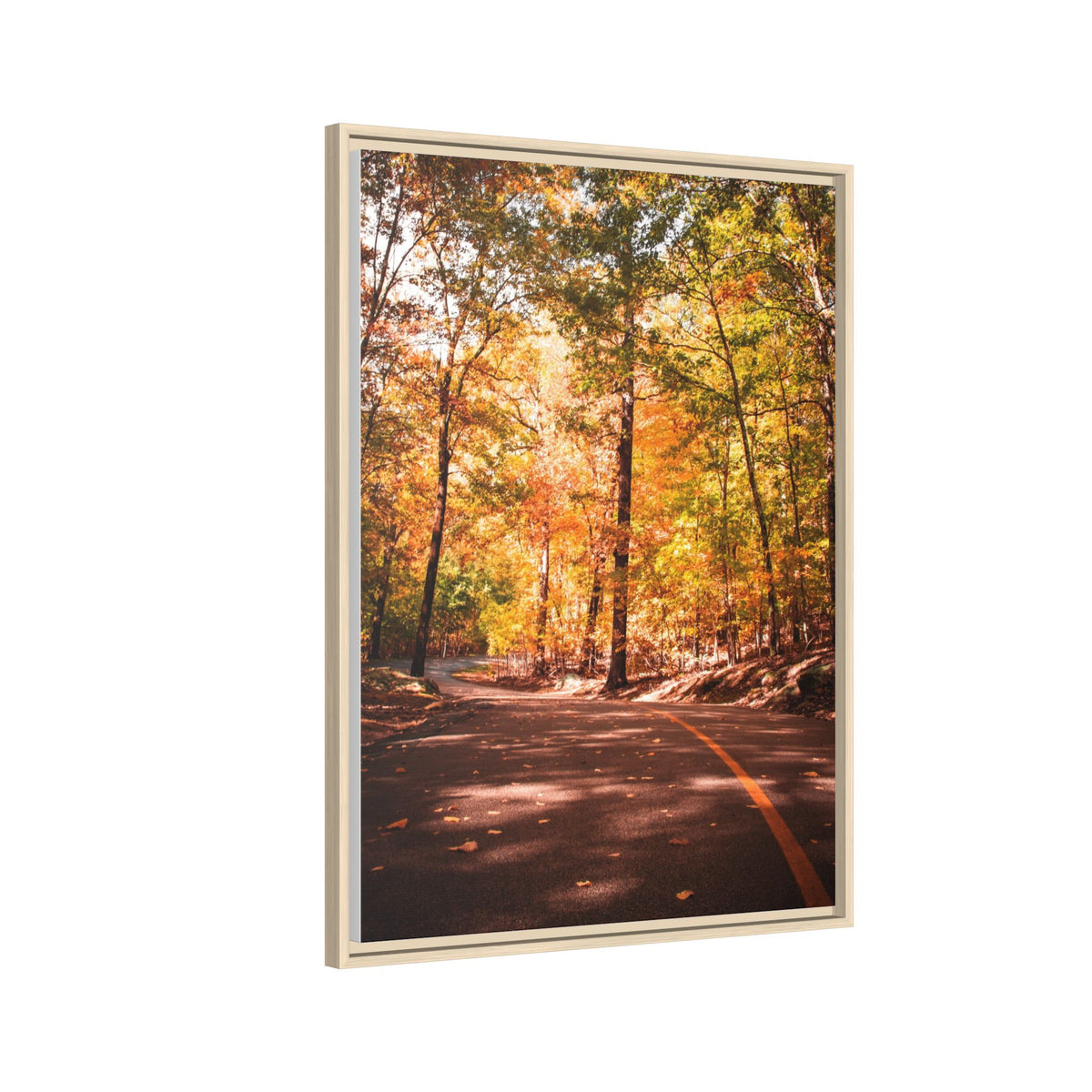 Autumn Road- Canvas Print
