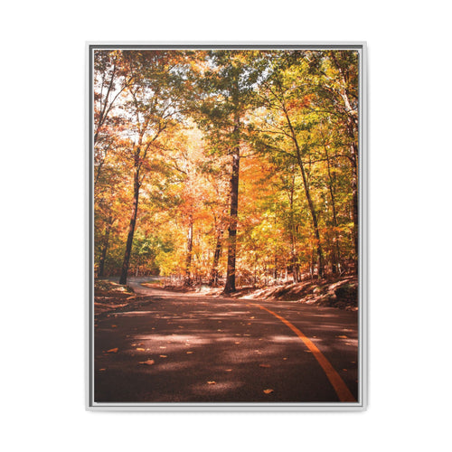 Autumn Road- Canvas Print