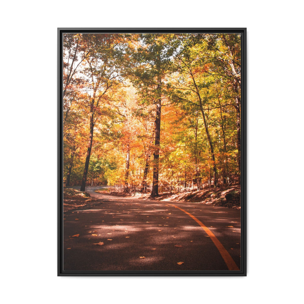 Autumn Road- Canvas Print