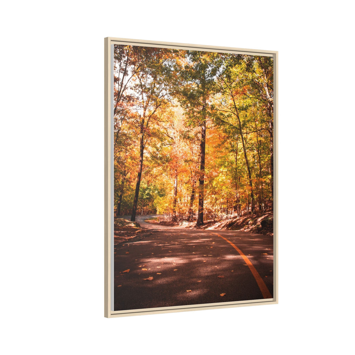 Autumn Road- Canvas Print